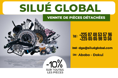 SILUE GLOBAL 